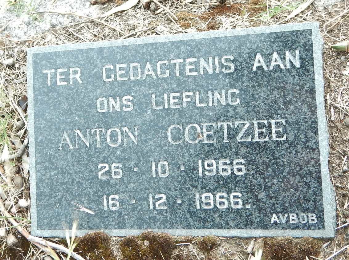 COETZEE Anton 1966-1966