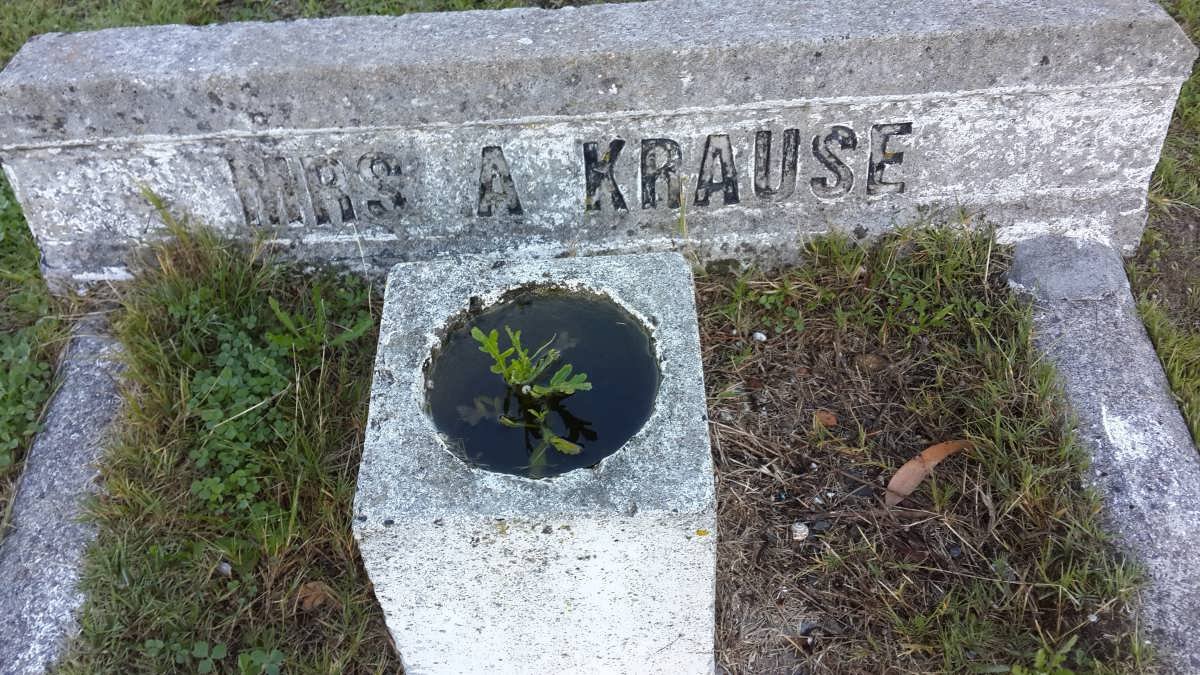 KRAUSE A.