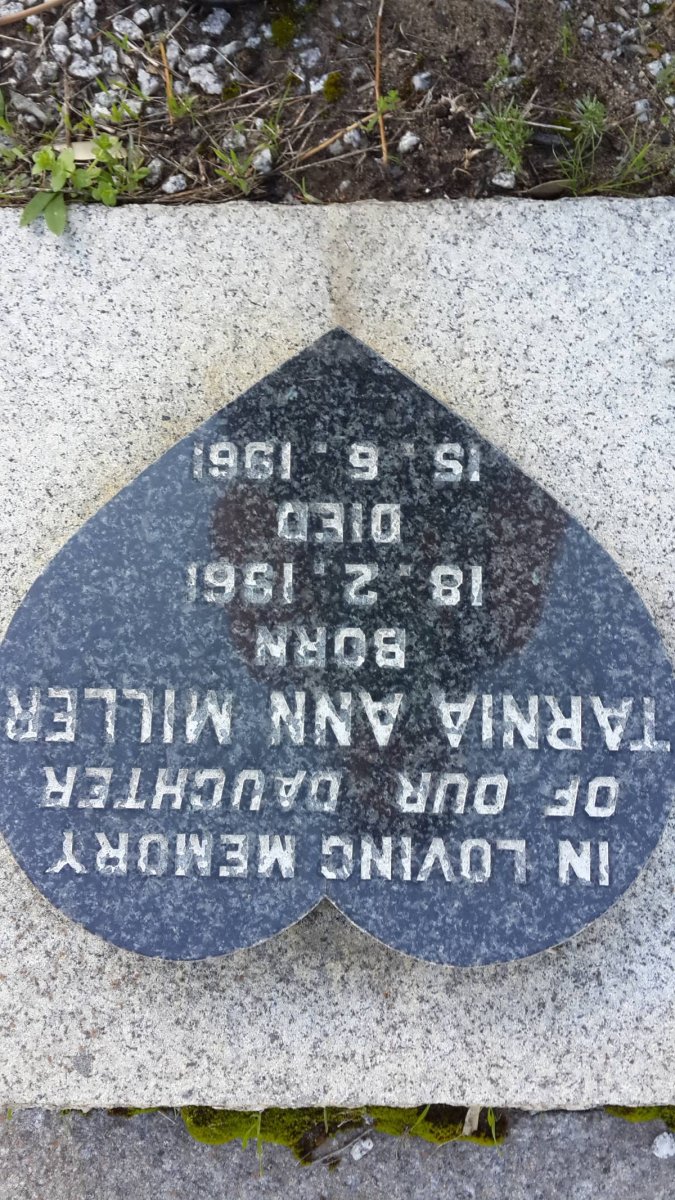MILLER Tarnia Ann 1961-1961