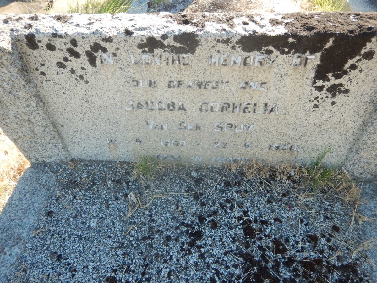SPUY Jacoba Cornelia, van der 1900-1960