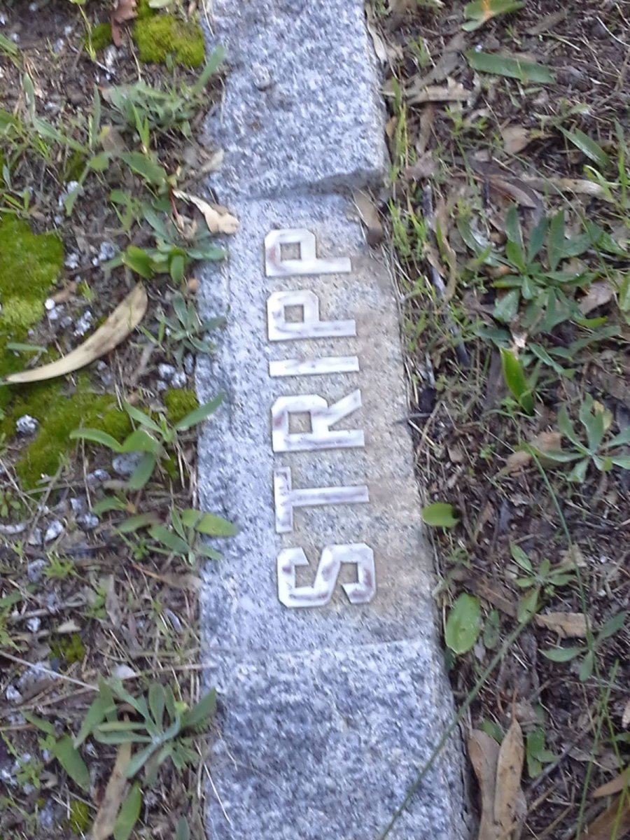 STRIPP