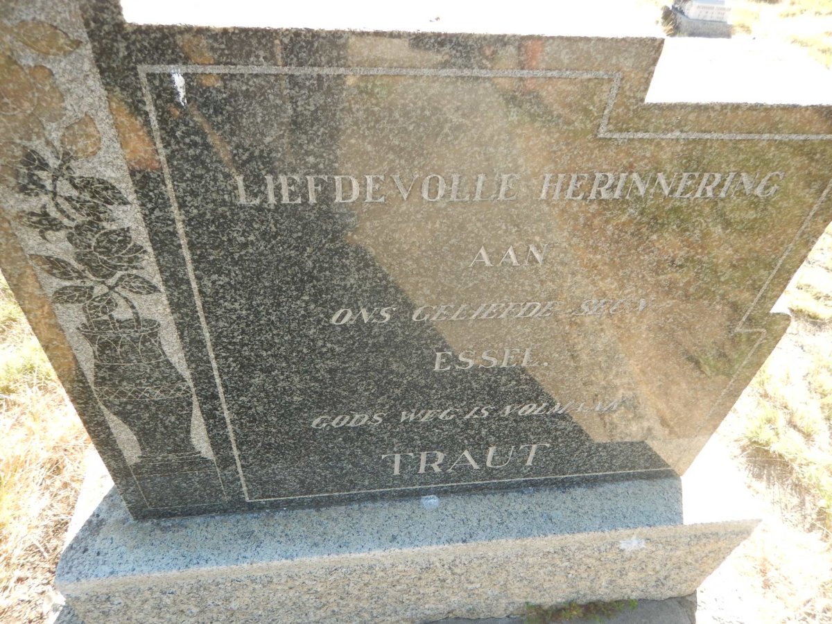 TRAUT Essel