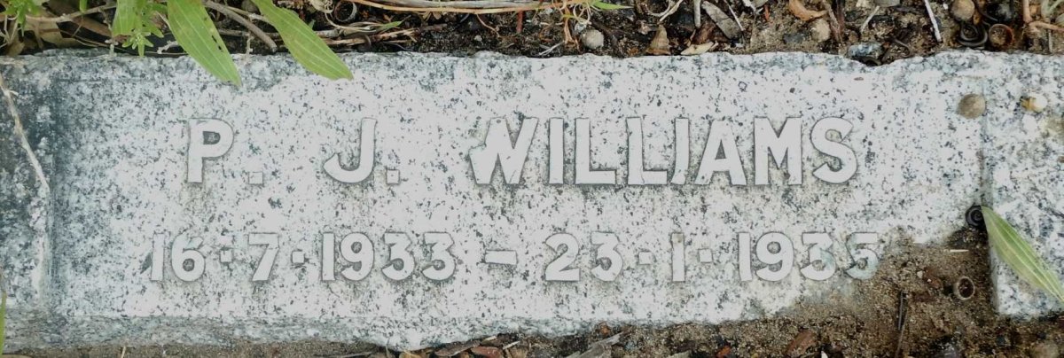 WILLIAMS P.J. 1933-1935