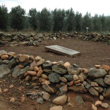 2. View on the cemetery