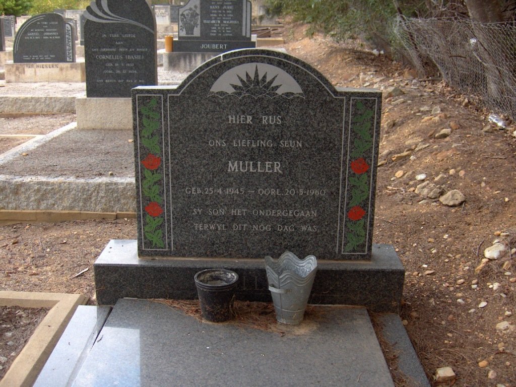 ? Muller 1945-1960
