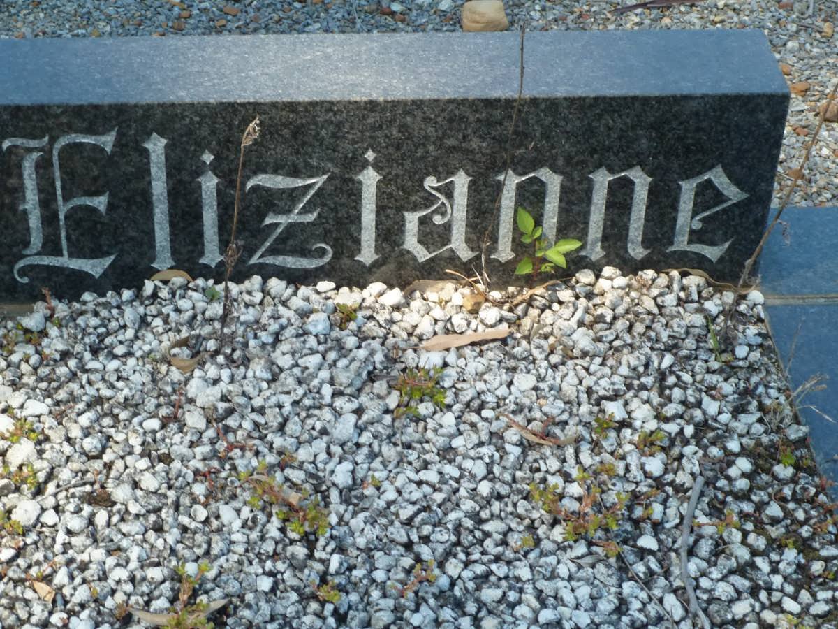 ? Elizianne