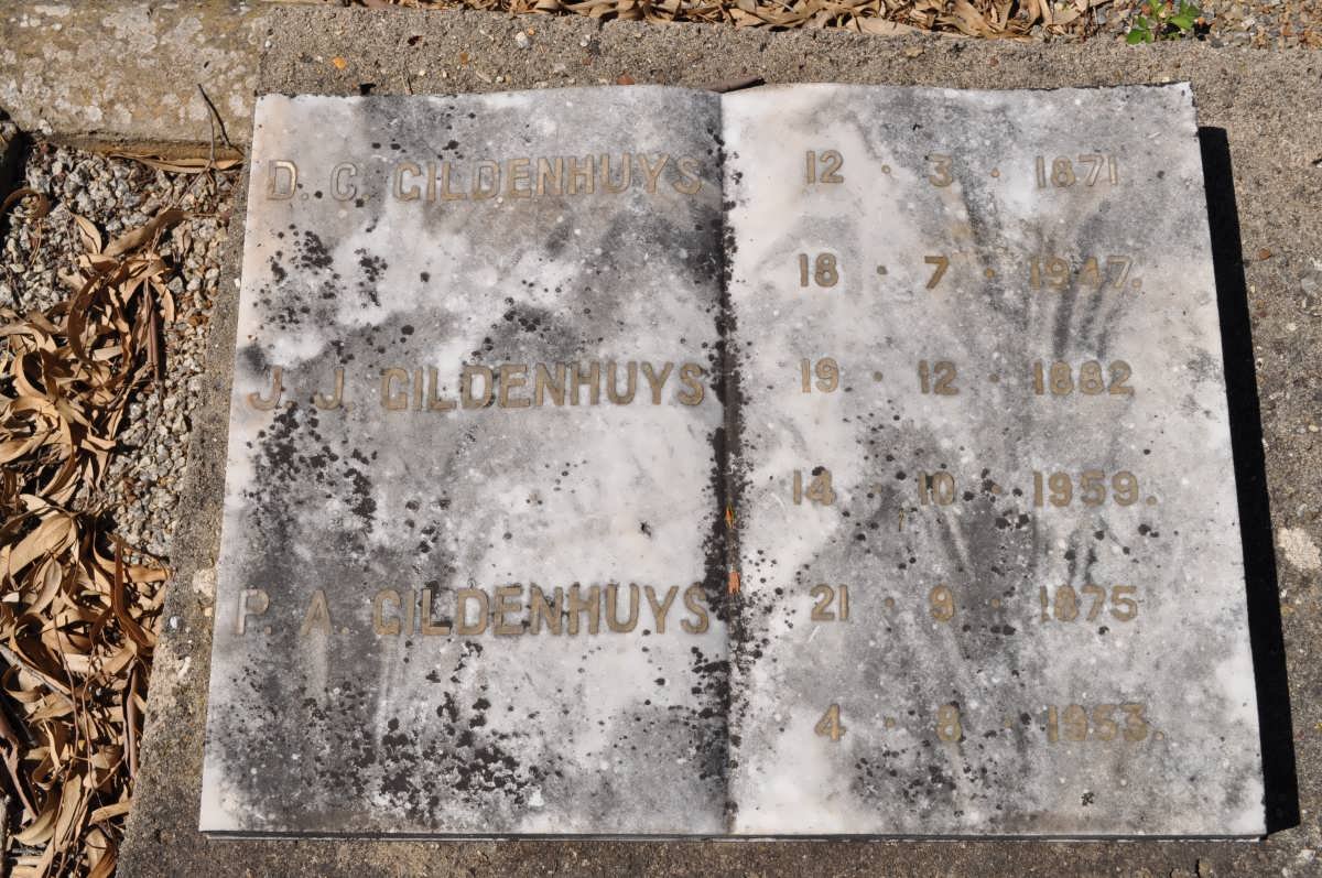 GILDENHUYS D.C. 1871-1947 :: GILDENHUYS J.J. 1882-1959 :: GILDENHUYS P.A. 1875-1953