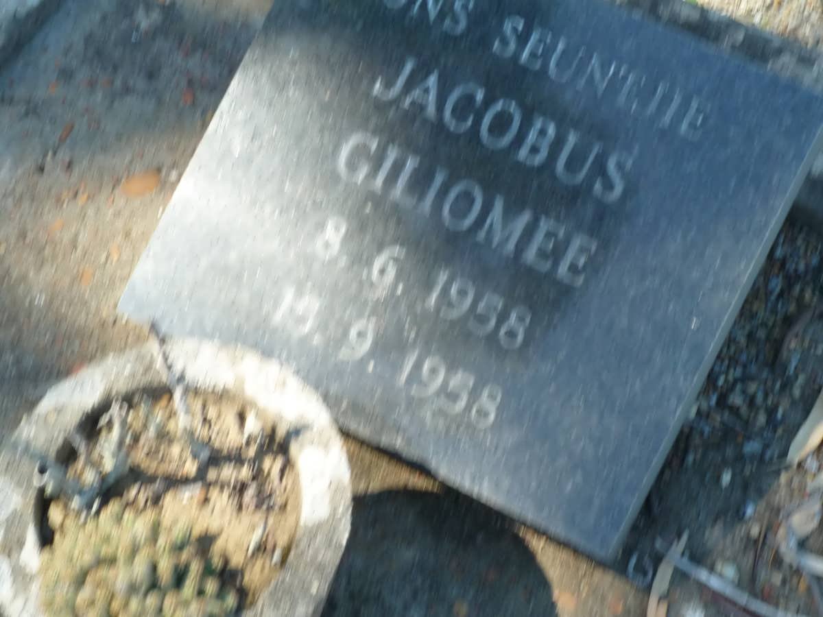 GILIOMEE Jacobus 1958-1958