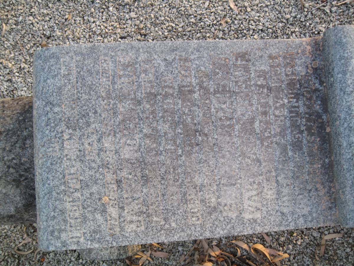 MERWE Jan ?, van der 1871-198? :: VAN DER MERWE S.L. nee VAN EEDEN 1886-1971