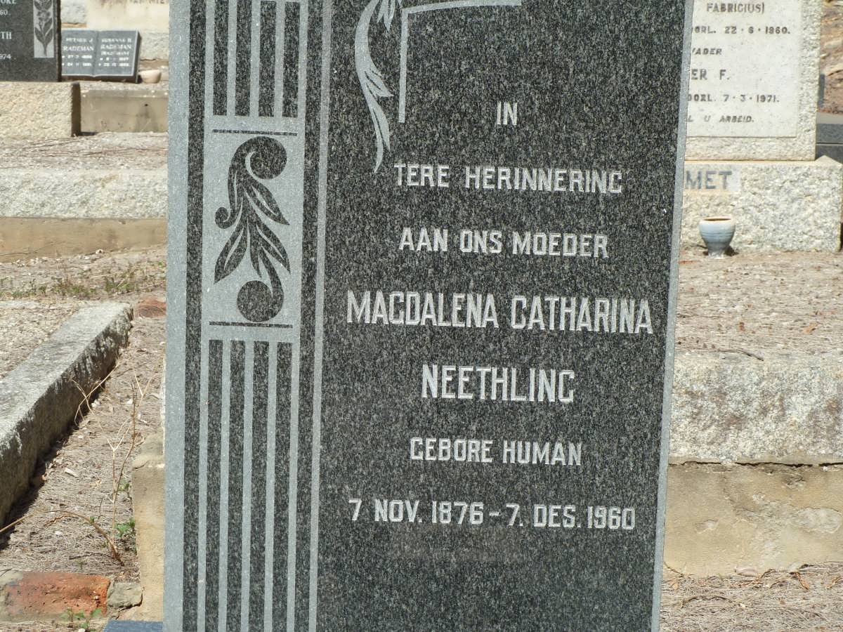 NEETHLING Magdalena Catharina nee HUMAN 1876-1960