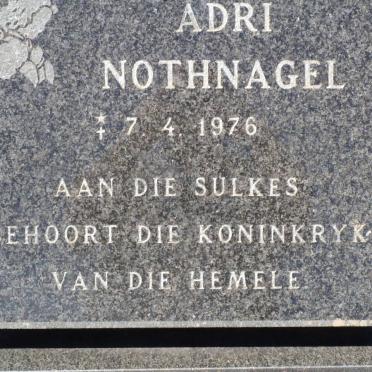 N - Vanne :: Surnames - N