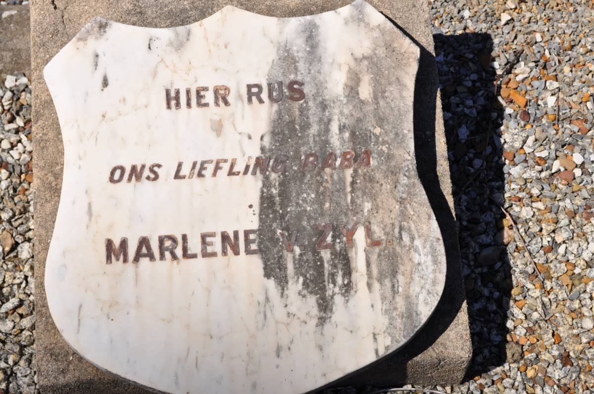 ZYL Marlene, v. 