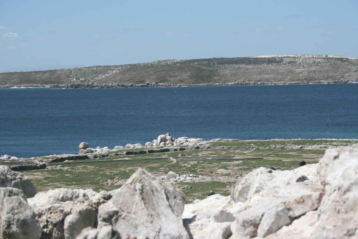01. Overview
