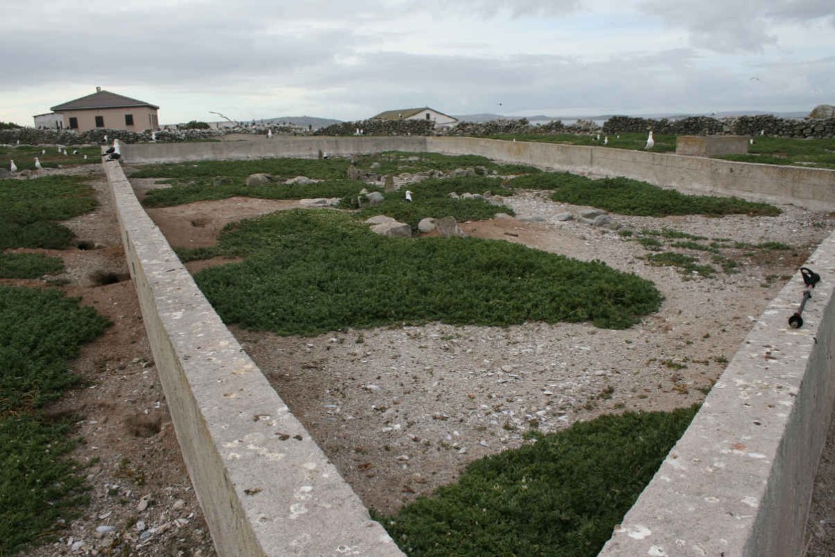 05. Graves taken from the South