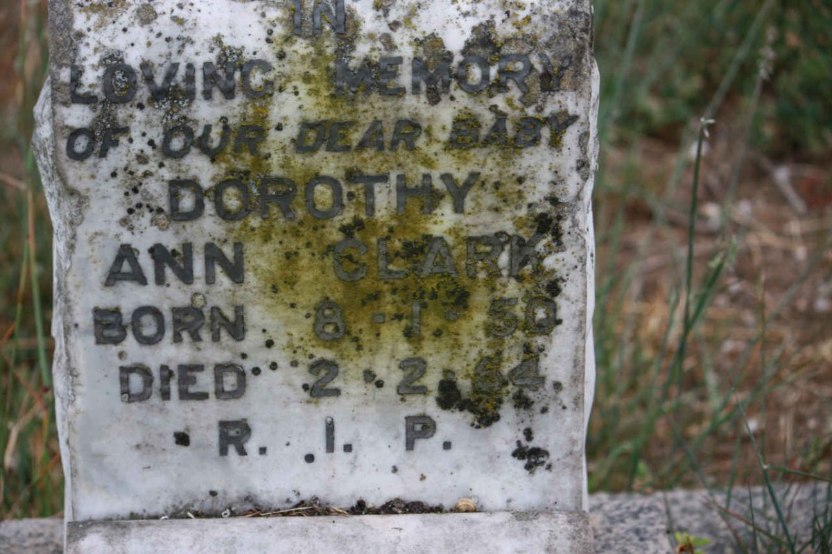 CLARK Dorothy Ann 1950-1954