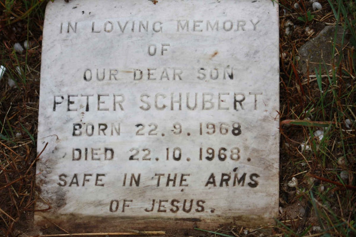 SCHUBERT Peter 1968-1968