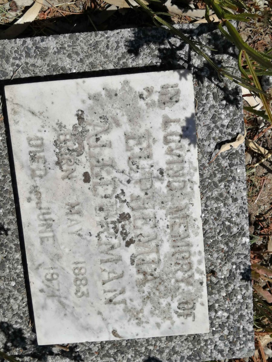 ALLDERMAN Euphemia 1883-1971