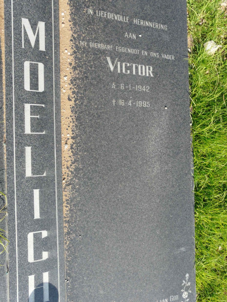 MOELICH Victor 1942-1995