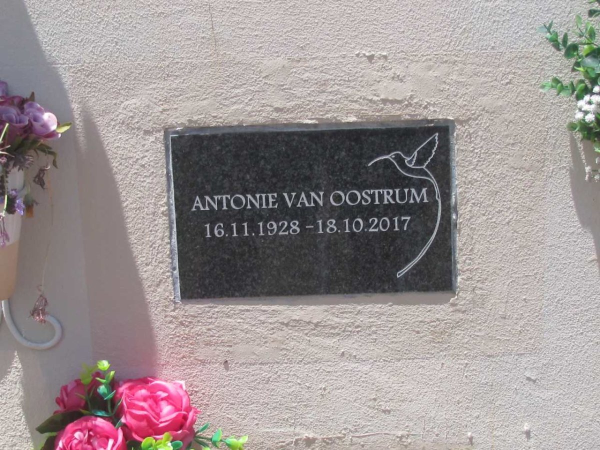 OOSTRUM Antonie, van 1928-2017