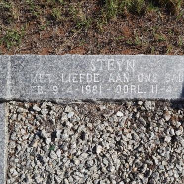 STEYN 1981-1981
