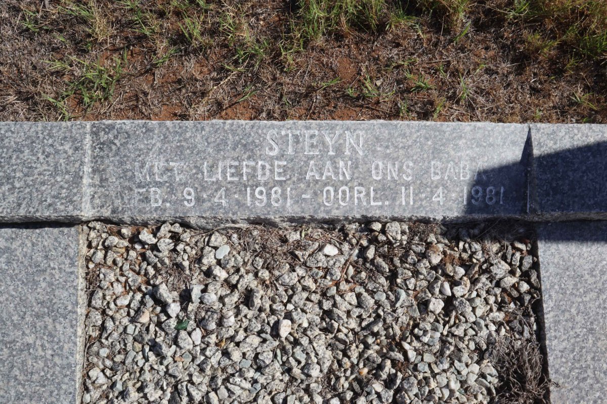 STEYN 1981-1981