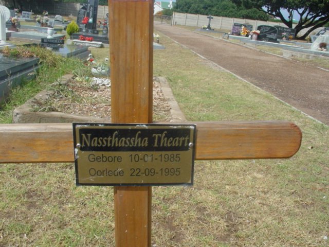 THEART Nassthassha 1985-1995