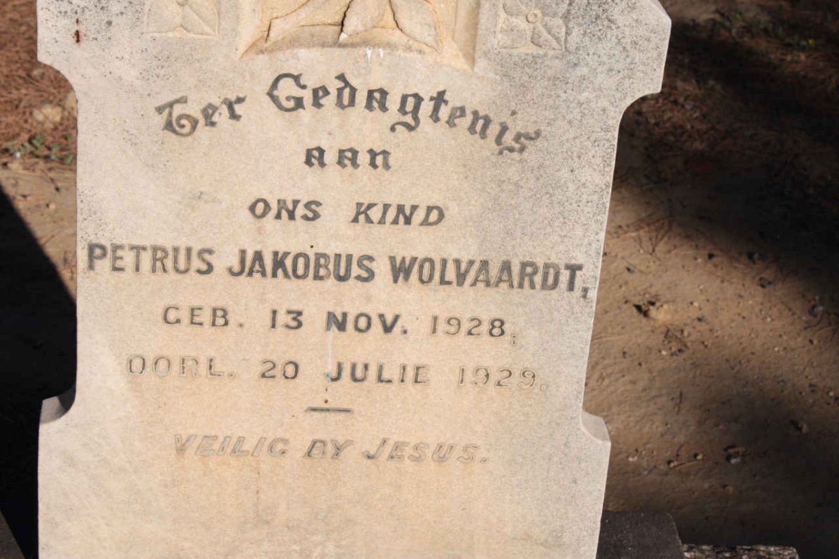 WOLVAARDT Petrus Jakobus 1928-1929