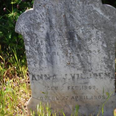 VILJOEN D.A. 1896-1896 : : VILJOEN Anna J. 1903-1903