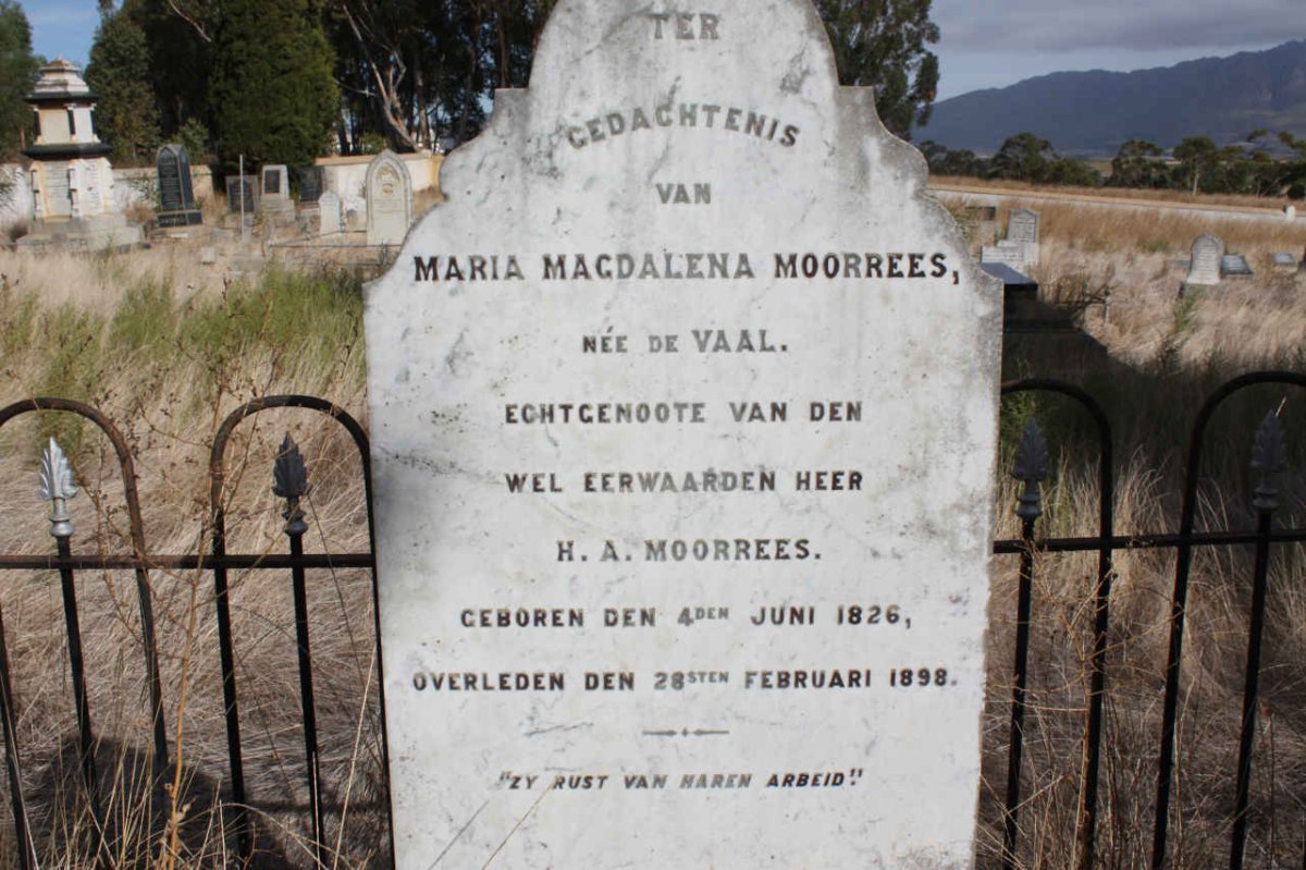 MOORREES :: DE VAAL :: MOORREES :: MOORREES