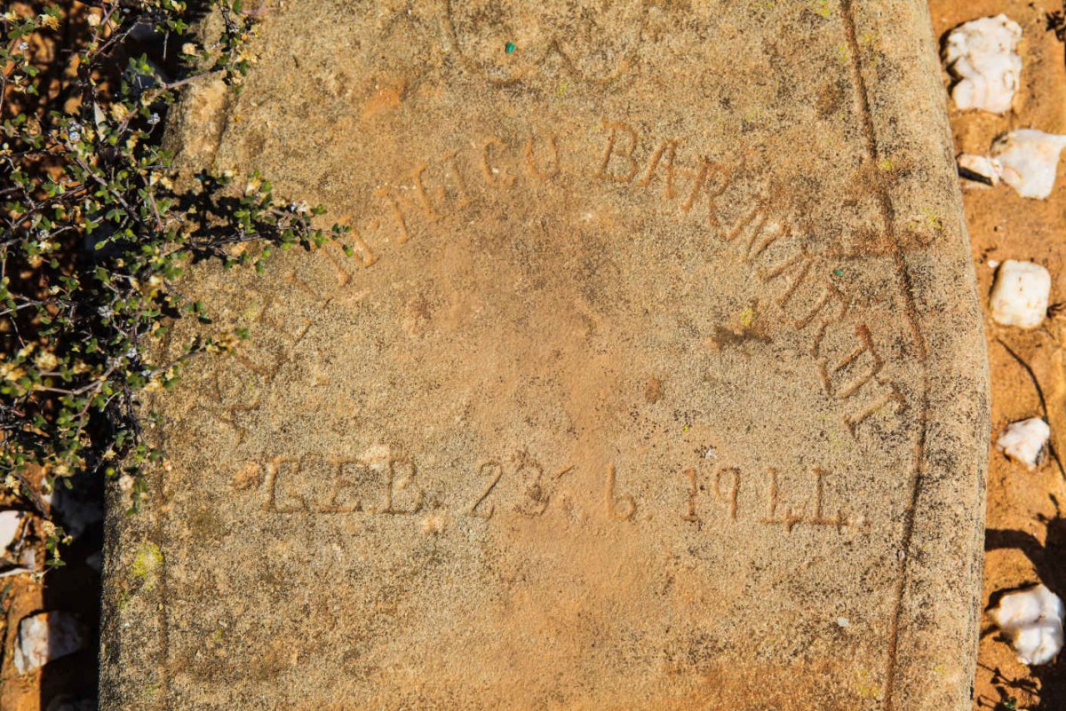 BARNARDT Nico 1944-