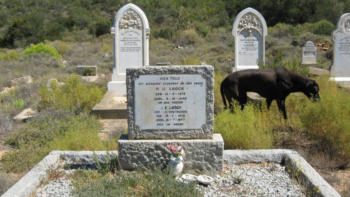 LOOCK P.J. 1873-1946 &amp; J.E. V.D. WESTHUIZEN 1878-1953