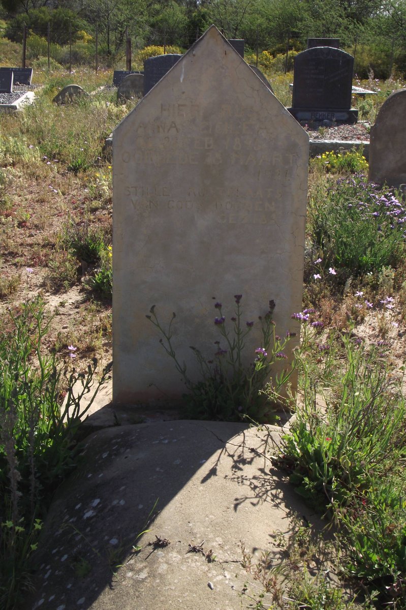? Anna Cicilea 1896-1921