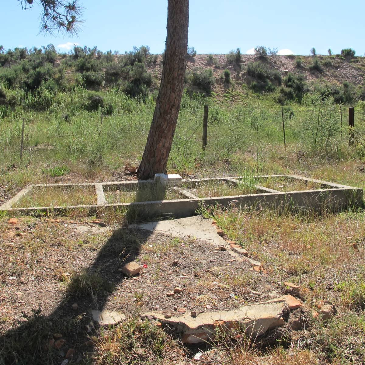 1. Overview