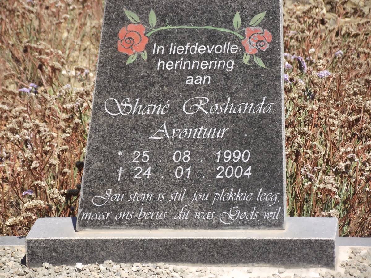 AVONTUUR Shane Roshanda 1990-2004