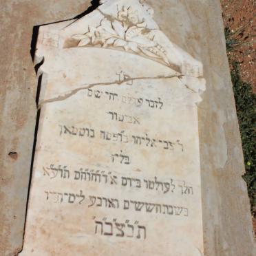 GUTMAN Tzvi Eliyahu