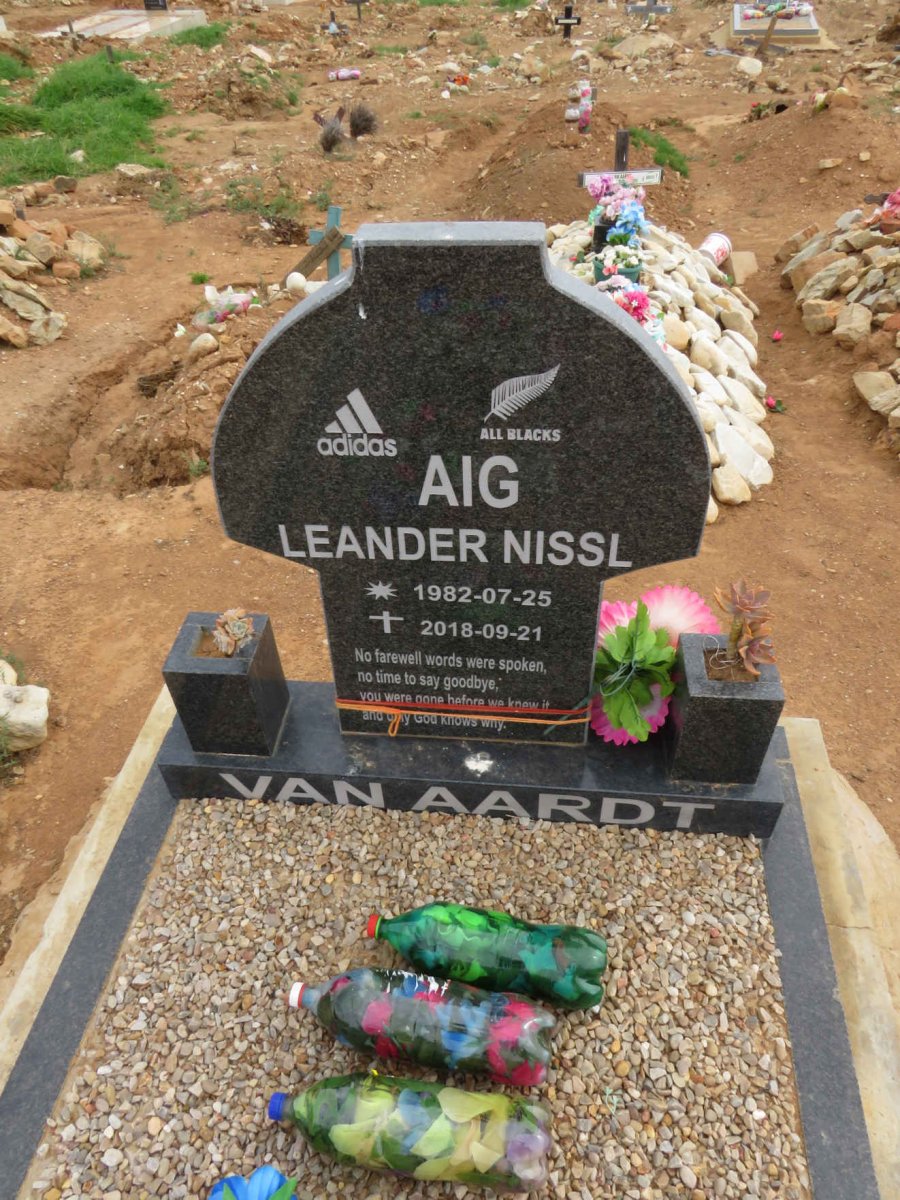 AARDT Aig Leander Nissl, van 1982-2018