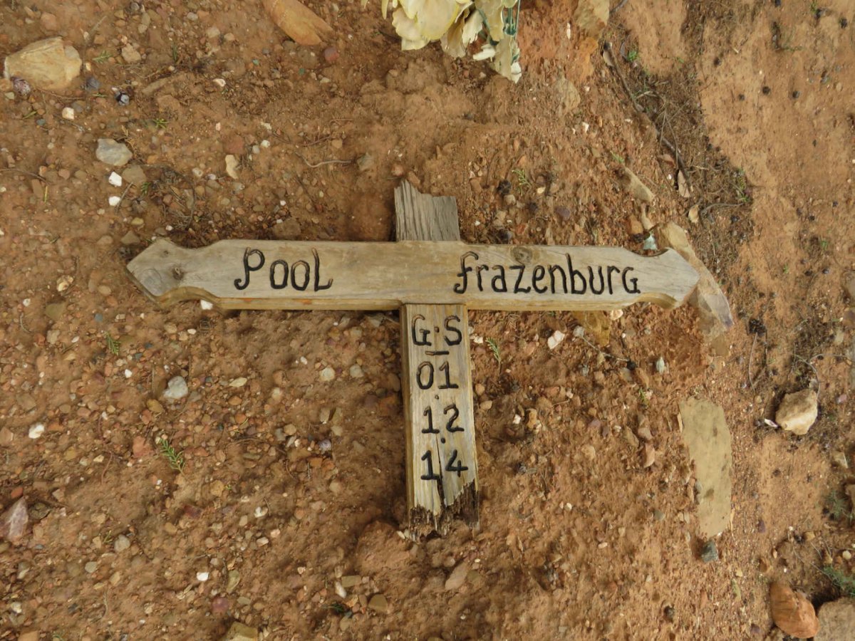 FRAZENBURG Pool -2014