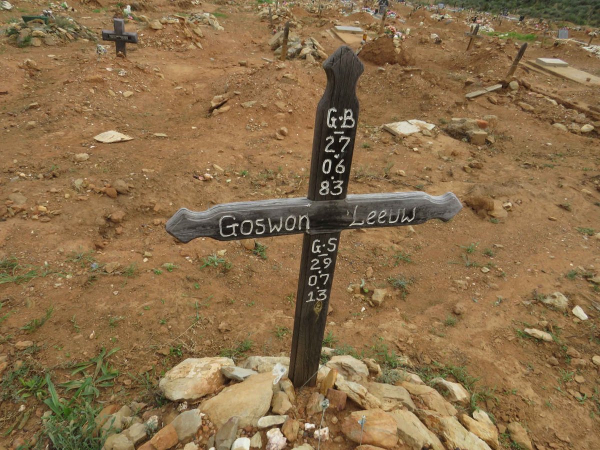 LEEUW Goswon 1983-2013