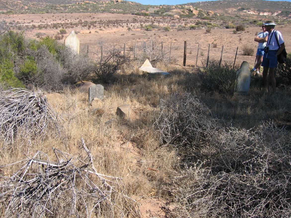 3. Oorsig