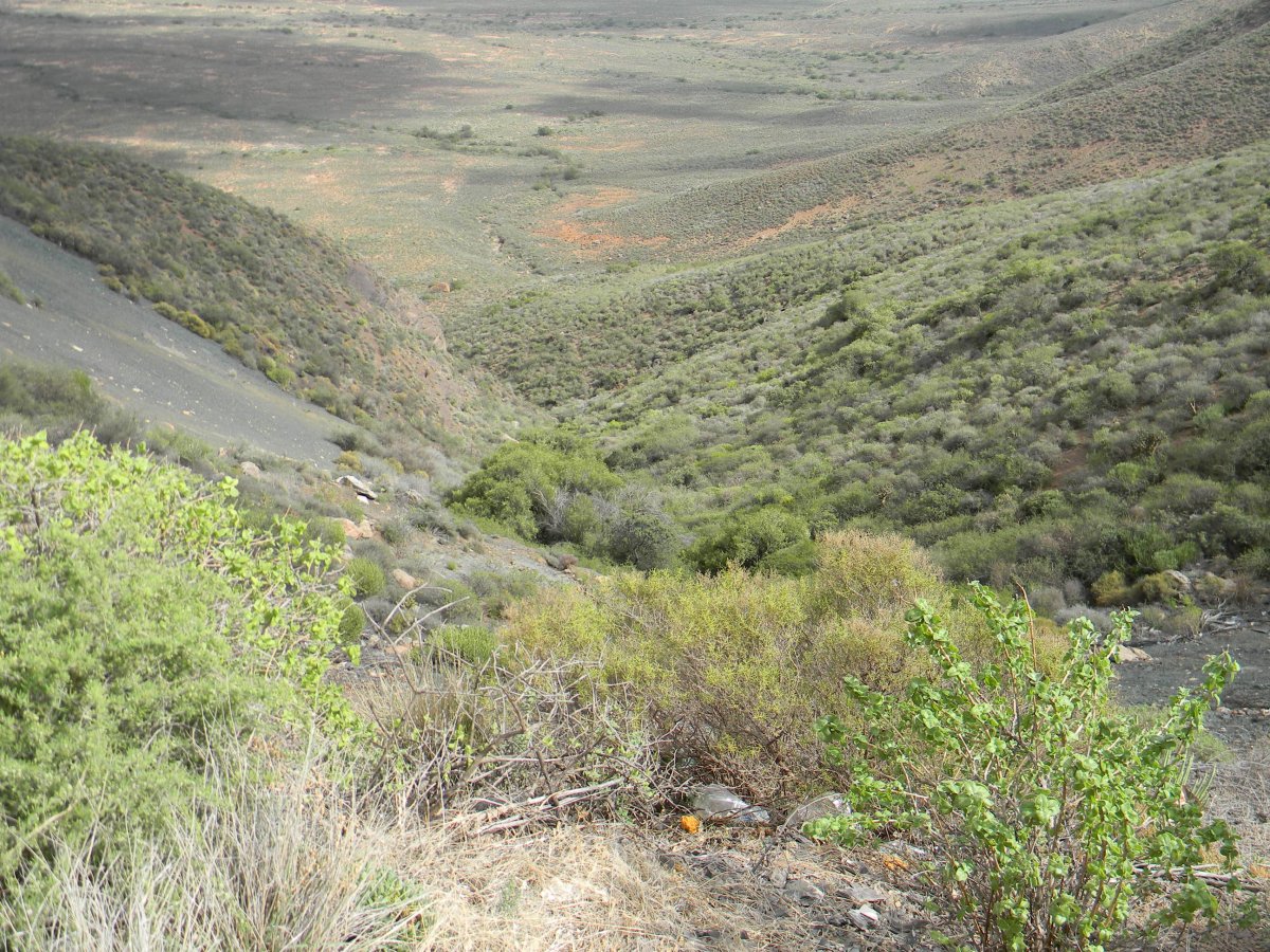 2. Overview from the Vanrhynspas