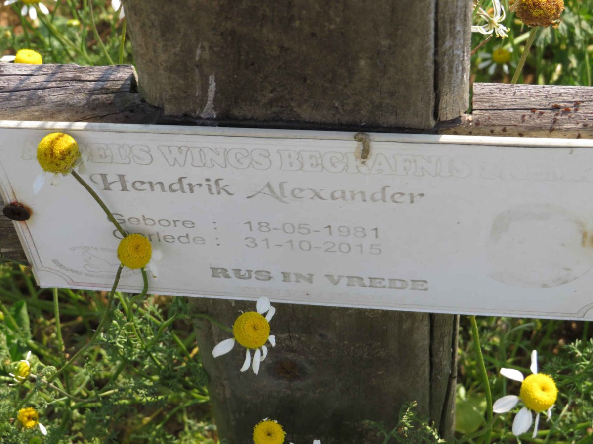 ALEXANDER Hendrik 1981-2015