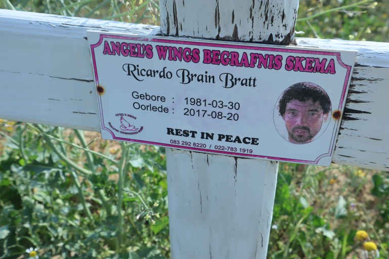 BRATT Ricardo Brain 1981-2017