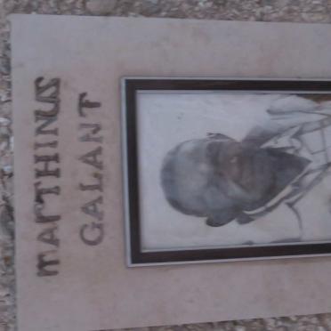 GALANT Marthinus