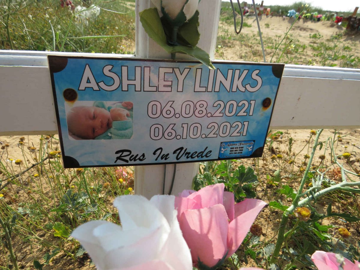 LINKS Ashley 2021-2021