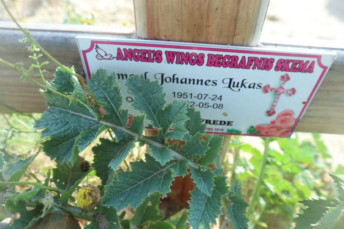 LUKAS ? Johannes 1951-2022