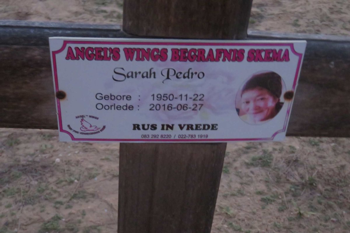 PEDRO Sarah 1950-2016