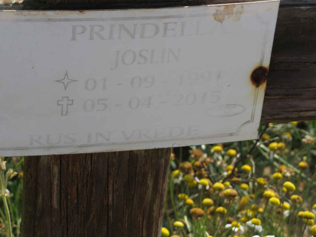 PRINDELLA Joslin 1991-2015
