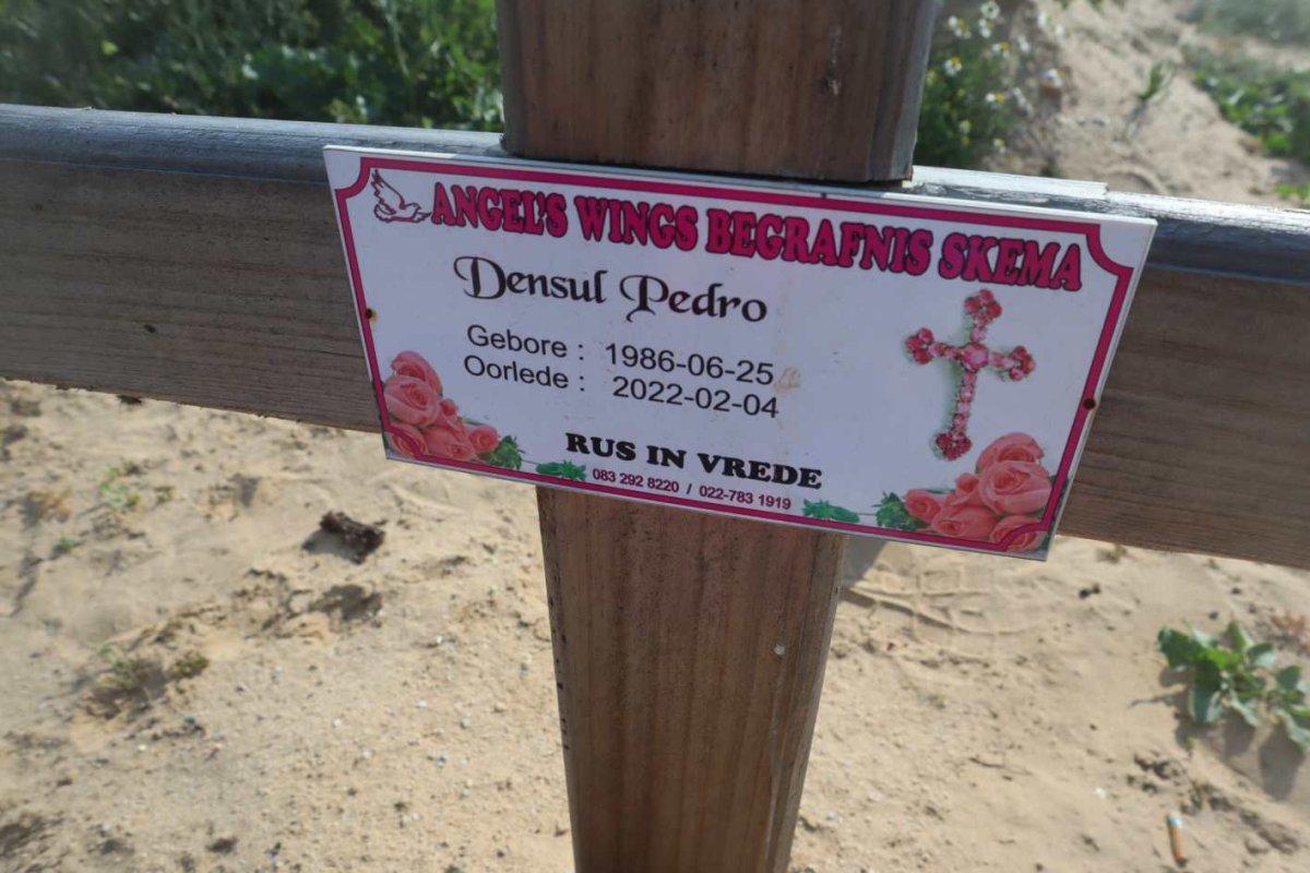 PEDRO Densul 1986-2022