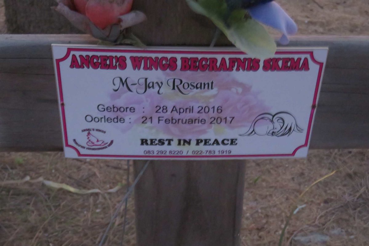 ROSANT M-Jay 2016-2017