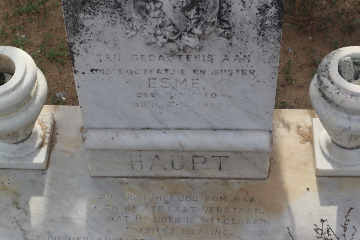 HAUPT Esme 1950-1955